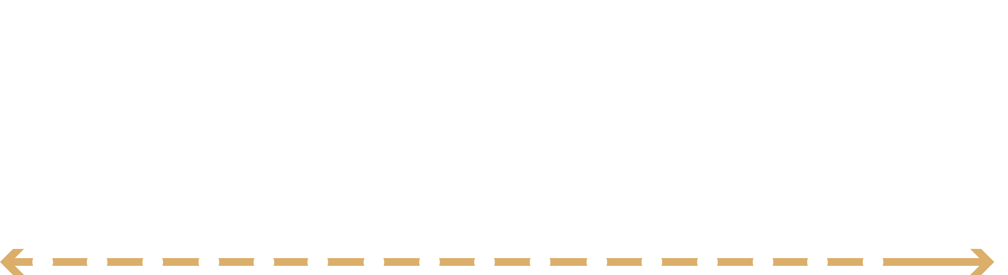 Timeline of PFML / PFL / DBL / TDI Programs by State (1948-2026)